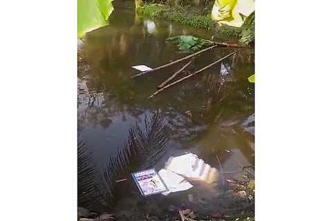 LS Polls: Last Phase Voting